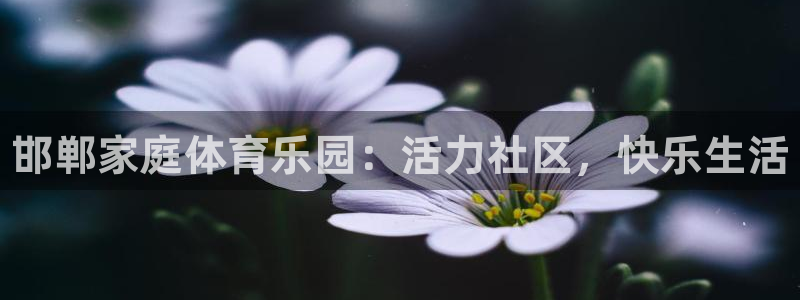 oety欧亿体育官网下载招商电话:邯郸家庭体育乐园:活力社区